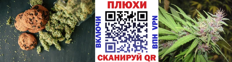 купить наркотик  Севск  Cannafood конопля 