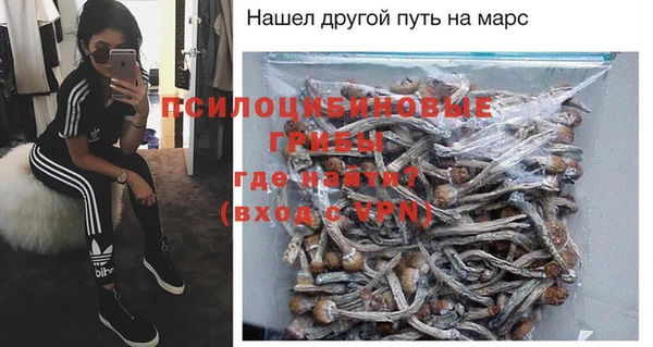 метадон Богданович