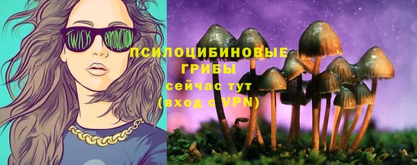 метадон Богданович