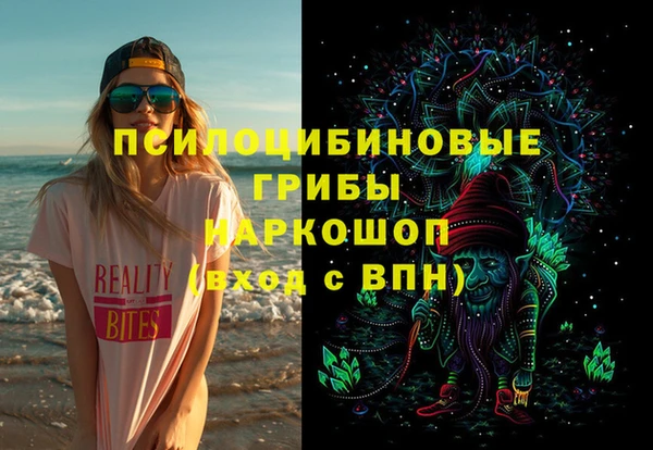 тгк Богородицк